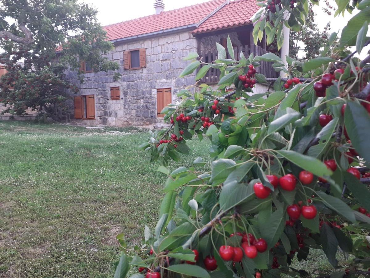 Patakun Holiday Home For 5, With Heated Pool Lecevica Eksteriør billede